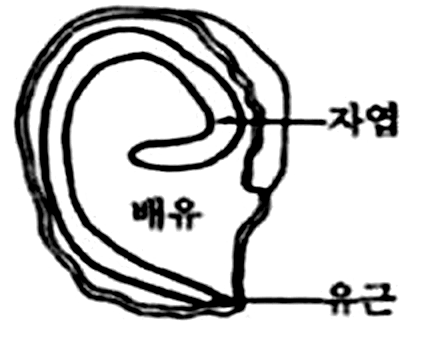 문제이미지