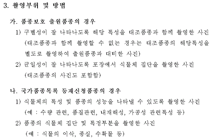 문제이미지