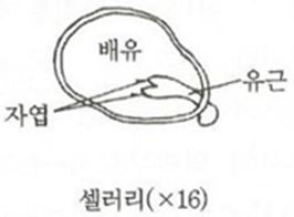 문제이미지