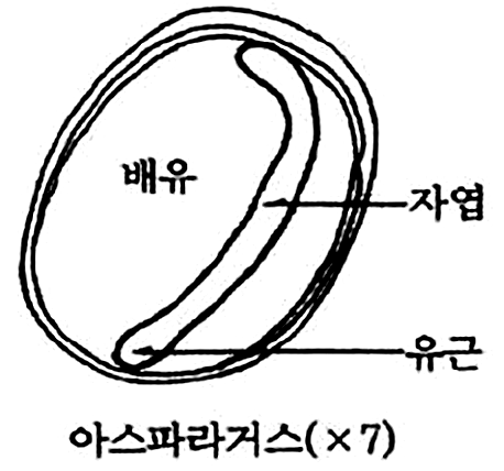 문제이미지