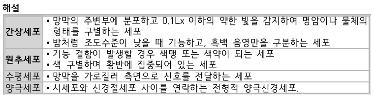 문제이미지