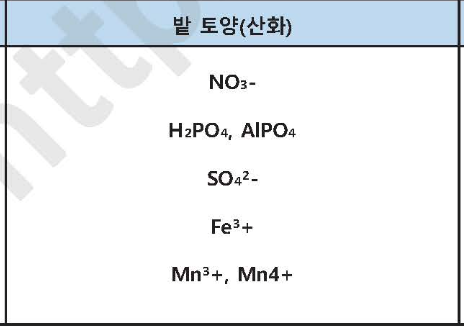 문제이미지