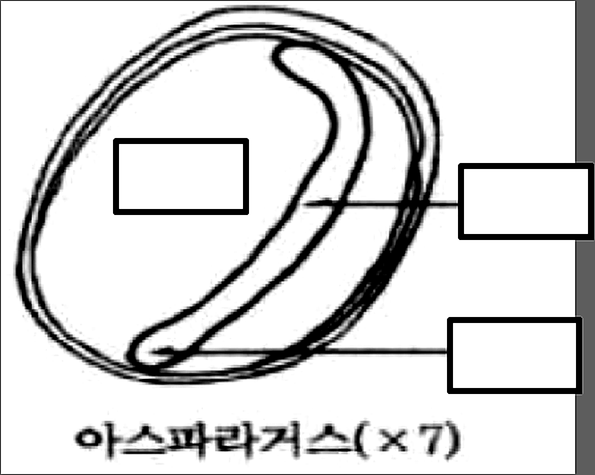 문제이미지
