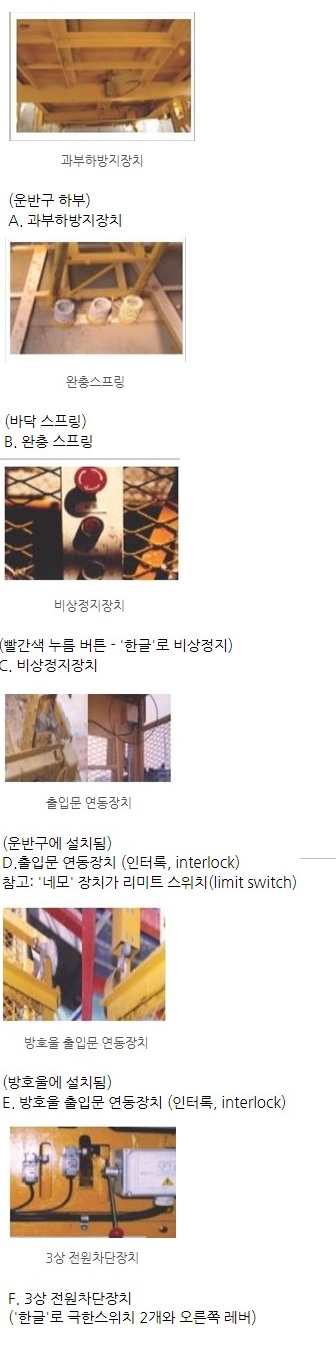 정답 이미지