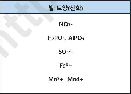 문제이미지