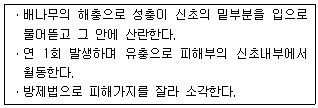 문제이미지
