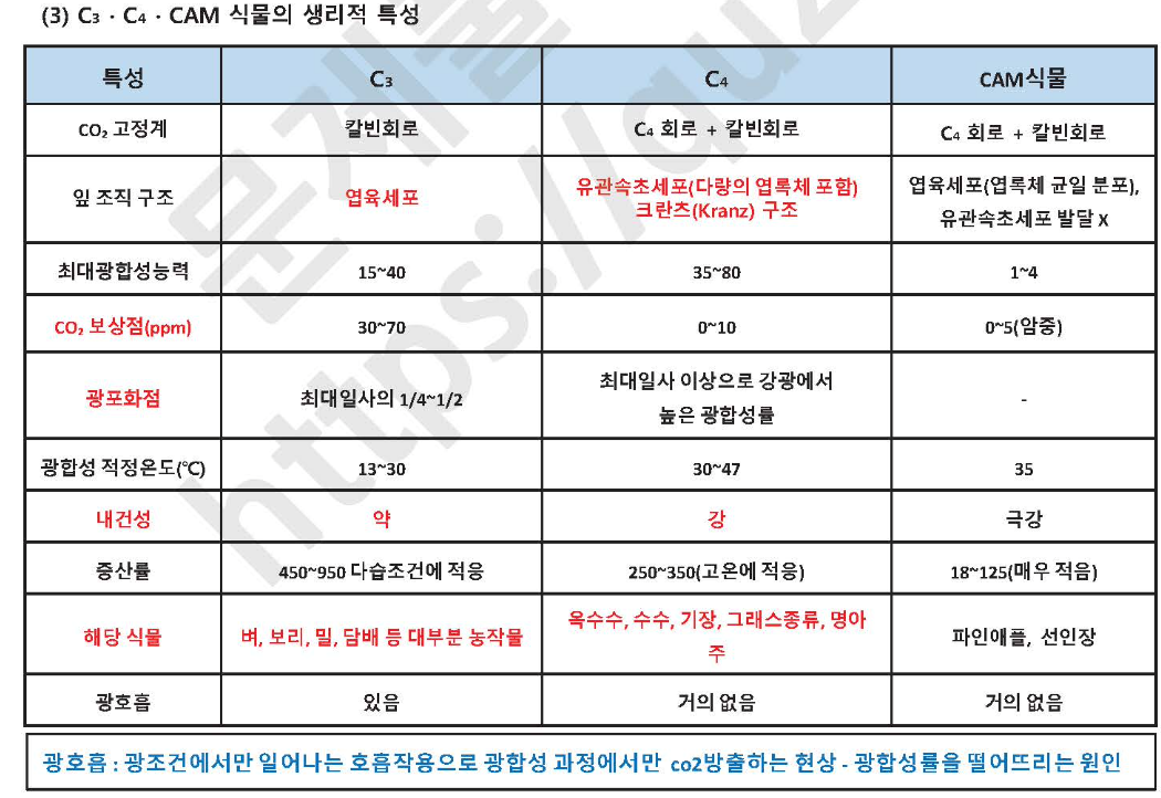 문제이미지