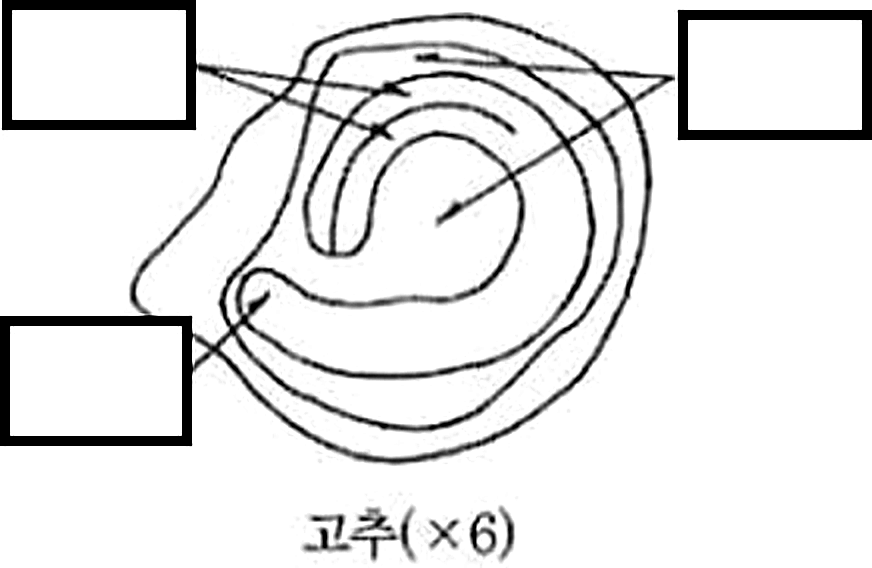 문제이미지