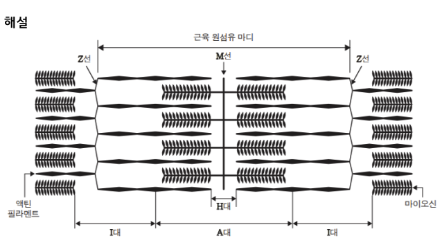 문제이미지