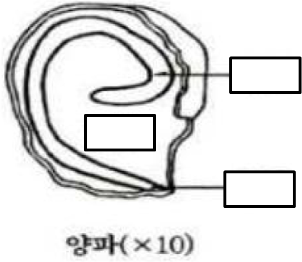 문제이미지