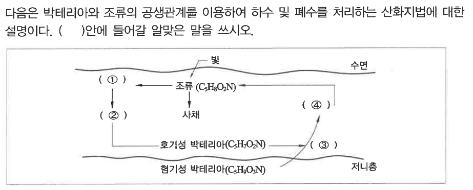 문제이미지
