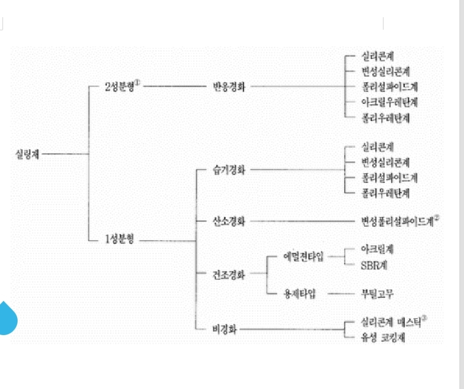 정답 이미지