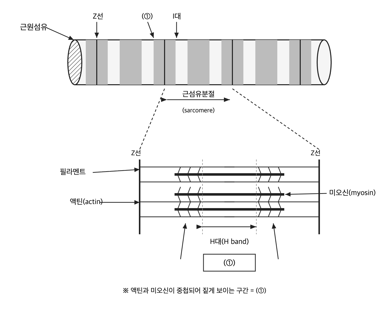 문제이미지