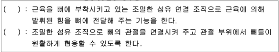 문제이미지