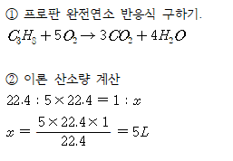 정답 이미지