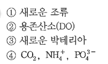 문제이미지