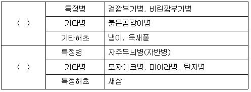 문제이미지
