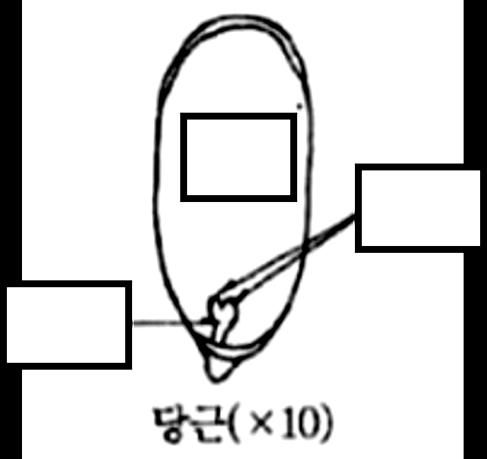 문제이미지