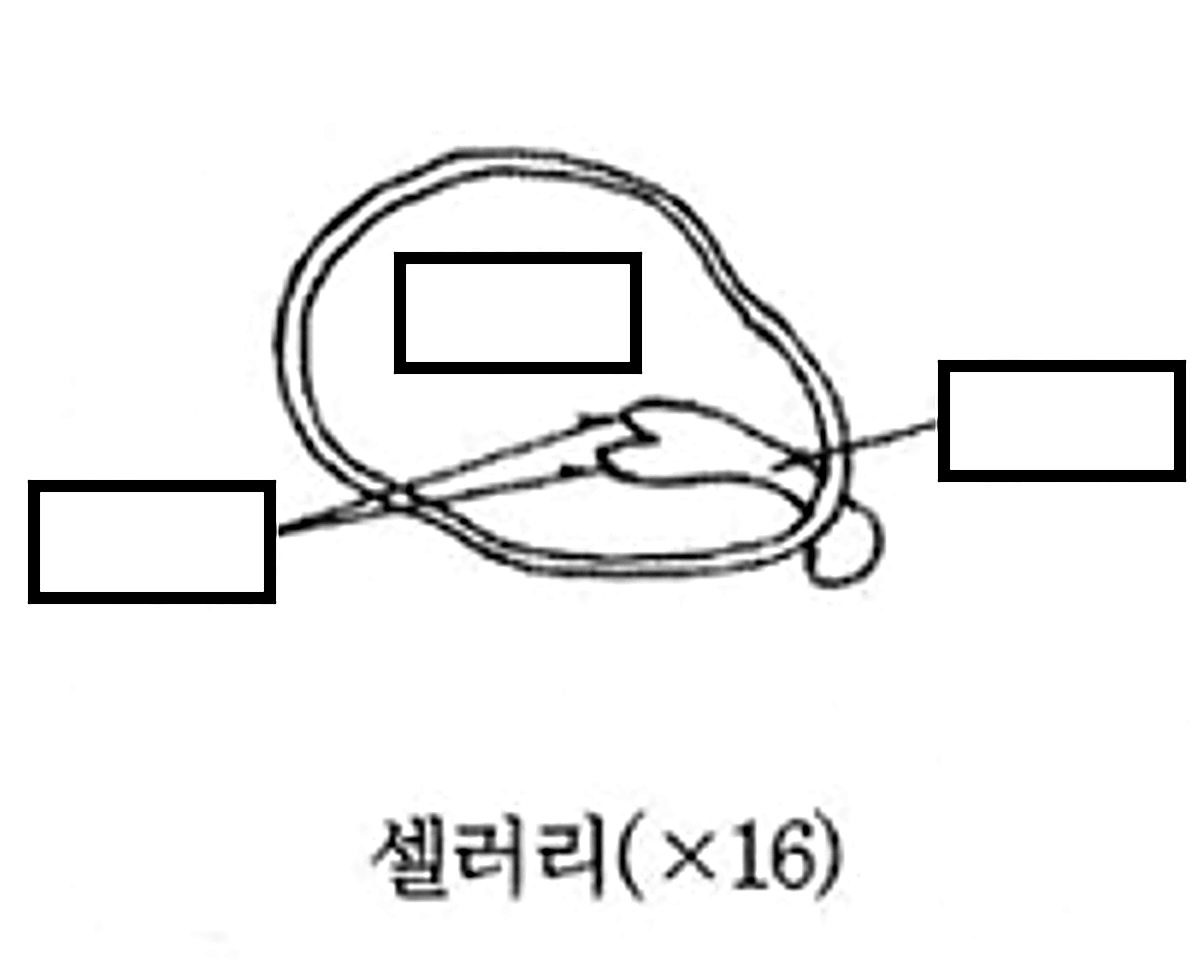 문제이미지