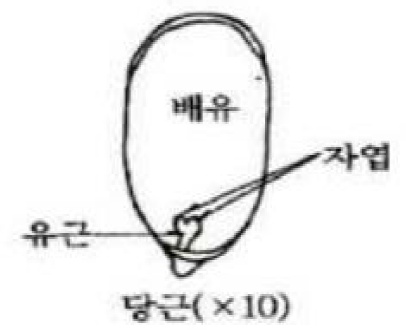 문제이미지