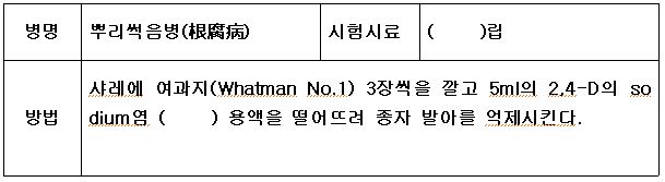 문제이미지