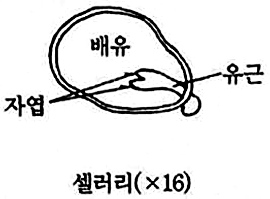 문제이미지